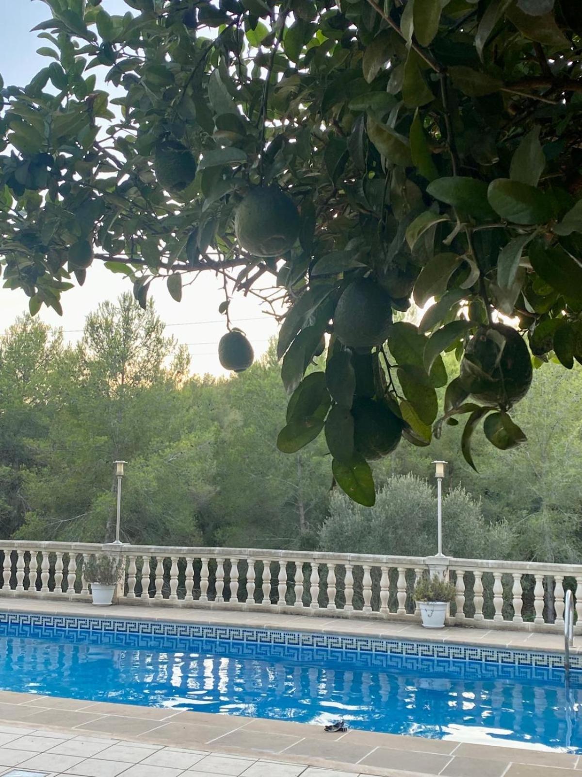 La Casa Dels Boscos Villa Tarragona Buitenkant foto